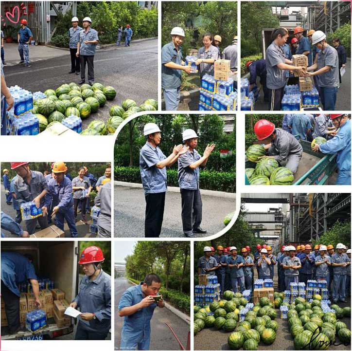 工廠發(fā)西瓜 工廠發(fā)西瓜