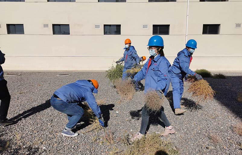 送料機廠除草 送料機廠除草