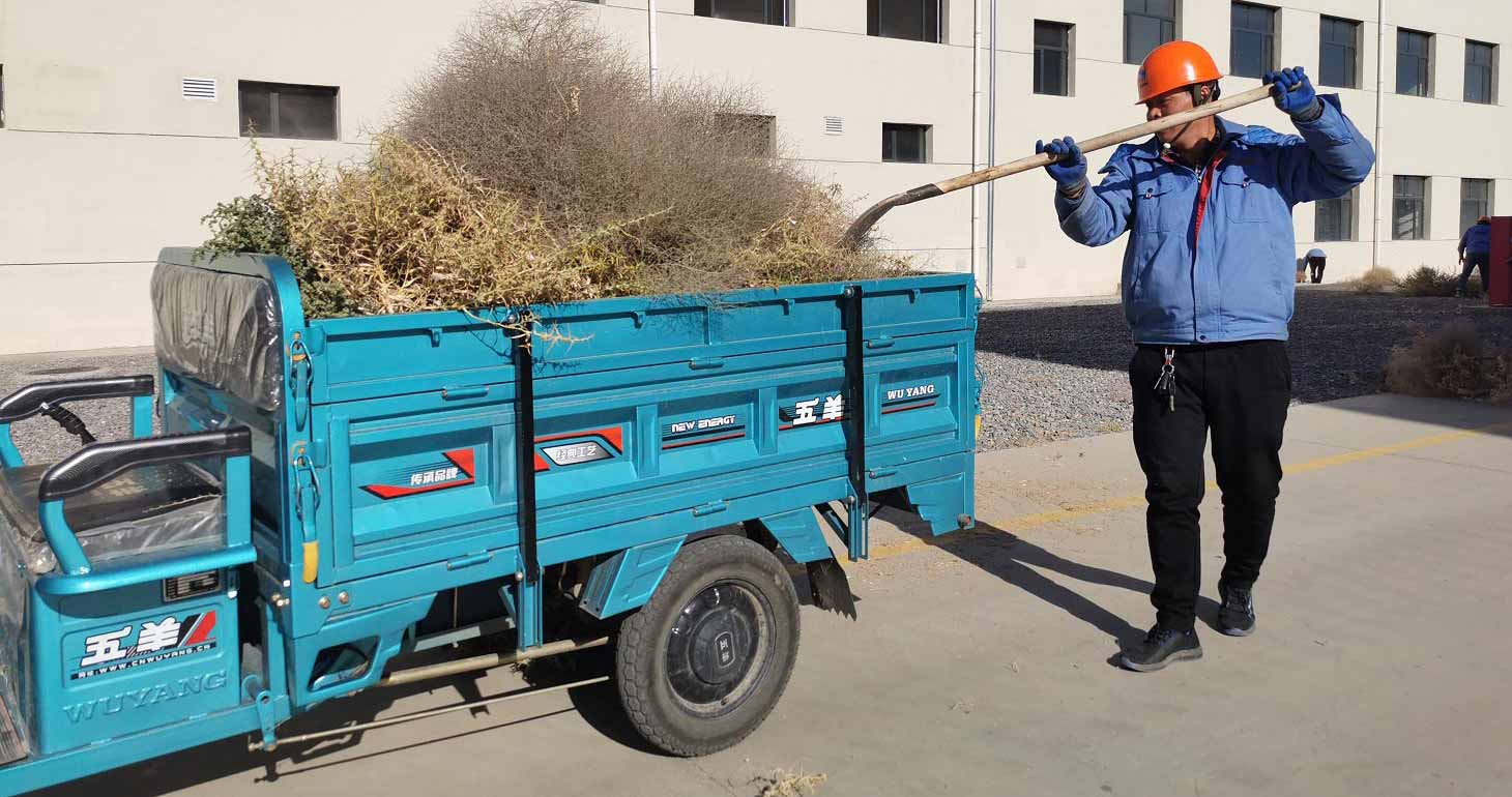 常州廠區(qū)清理枯草落葉 常州廠區(qū)清理枯草落葉