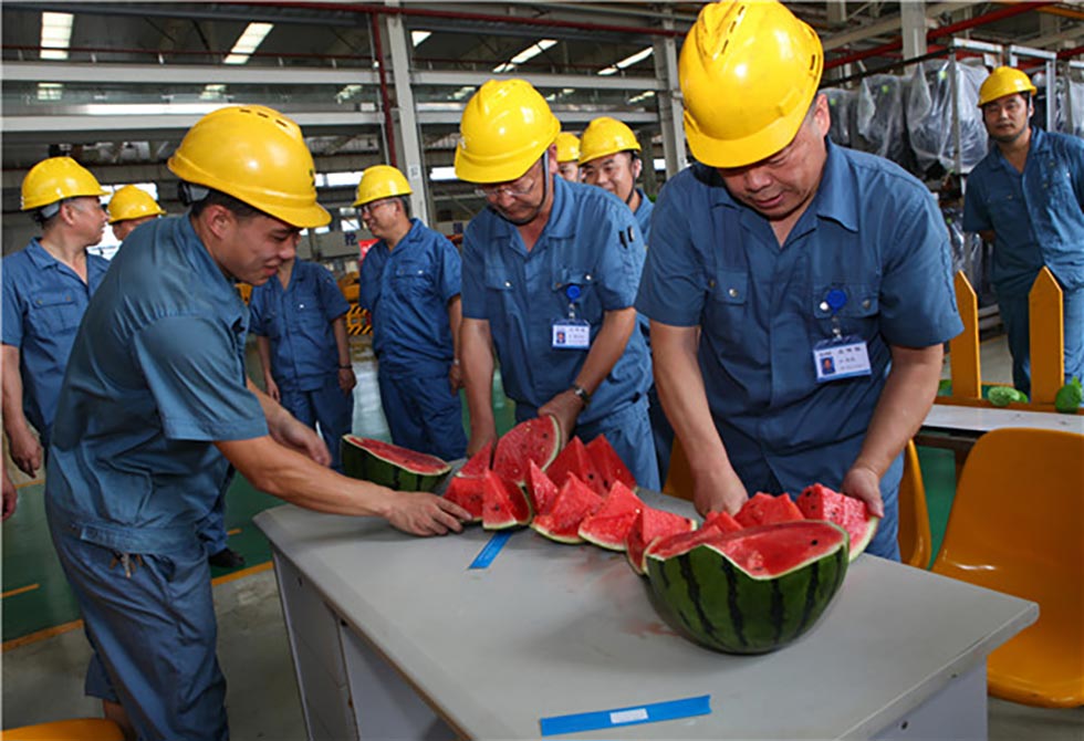 江蘇三合一送料機(jī)廠送西瓜 江蘇三合一送料機(jī)廠送西瓜